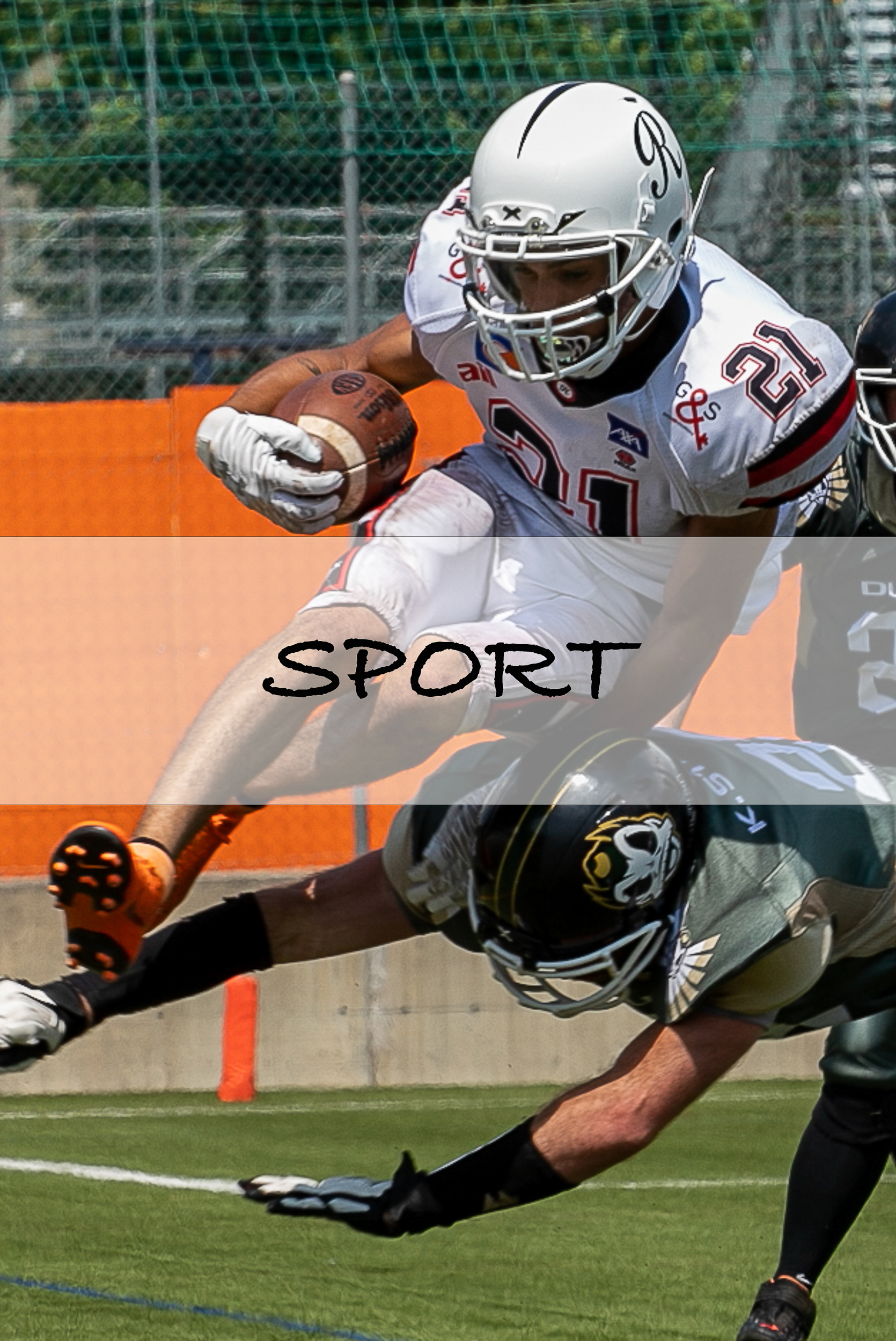 Sport